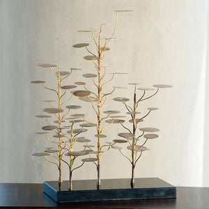 Eucalyptus Tree