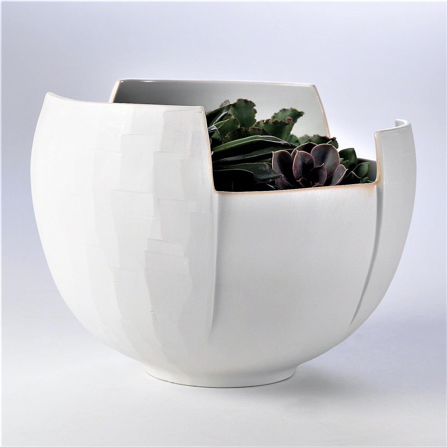 Birch Bark Bowl