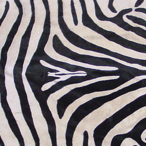 Z - Painted Zebra Hide
